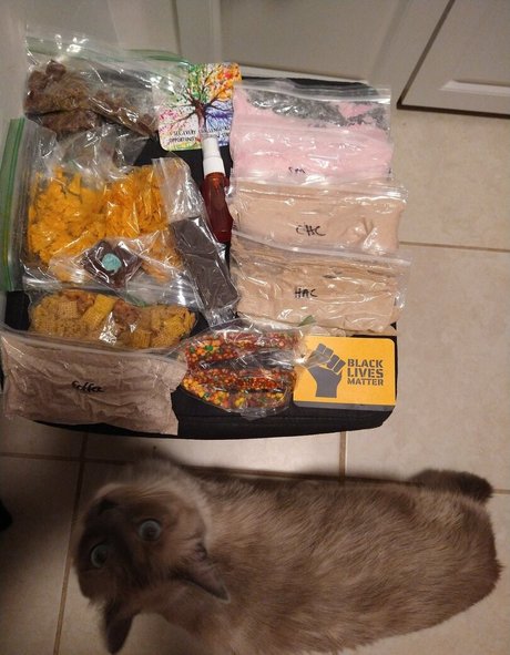 flowerpower87 onlyfans leaks