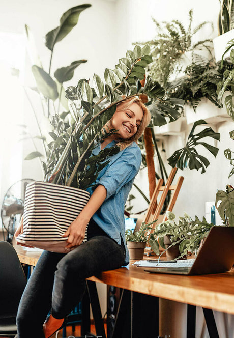 more than palnts only fans content