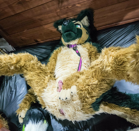 anejo xxx kaii topless onlyfans