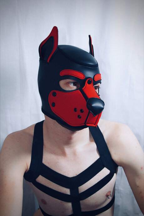 PupJako only fans content