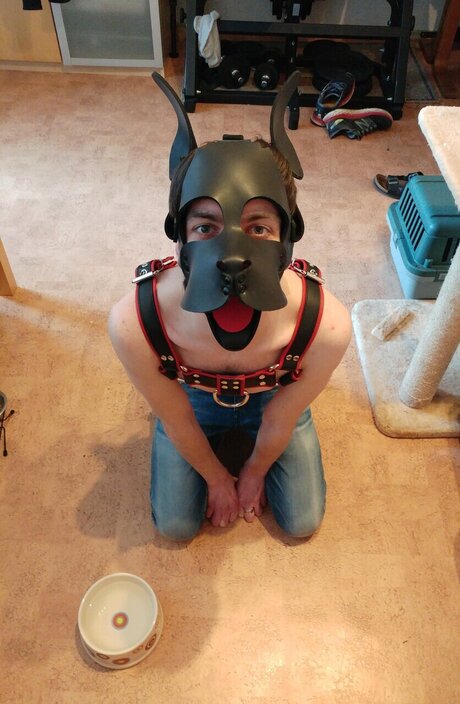 PupDexi onlyfans picture