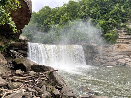 Brady Thicke onlyfans archives