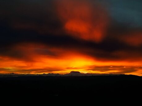 Anderson Javier leaked only fans