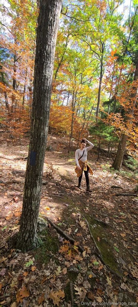 Emerson cane Profile pic