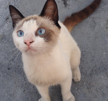 Lucillexs nude onlyfans porn