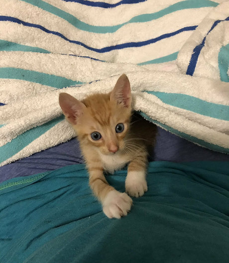 hardcore onlyfans free archive