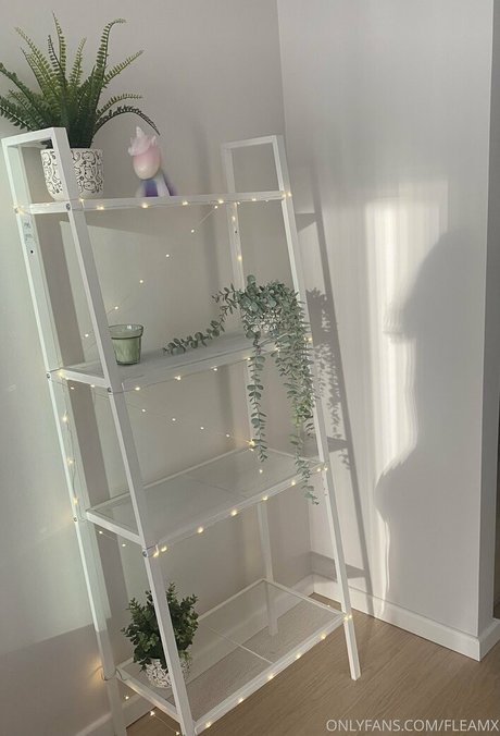 non onlyfans hot sexy plate