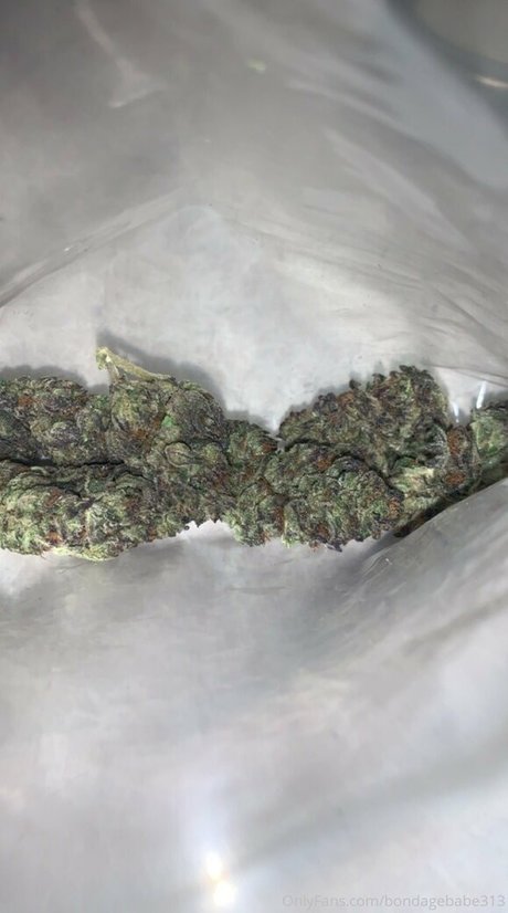 bondagebabe313 onlyfans leaj