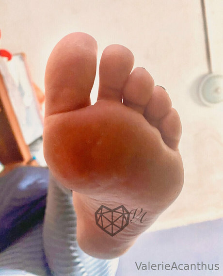 val acanthus porn onlyfans leaks