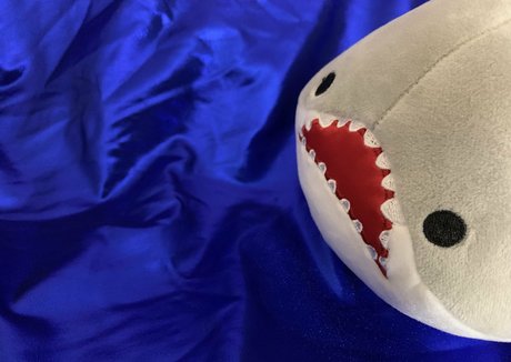 baby buns only fans pictures