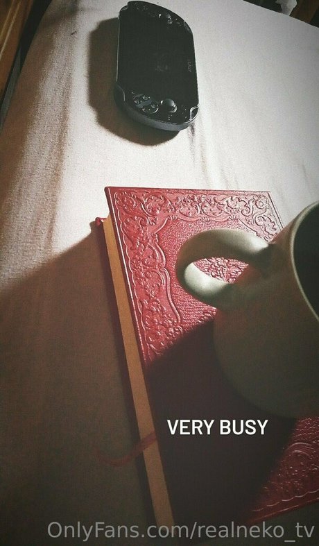 realneko tv only fans xxx