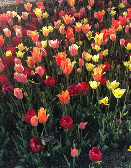 earthlyalien leaked nudes onlyfans