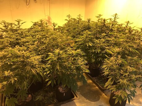 Scorpio81420 onlyfans uncensored