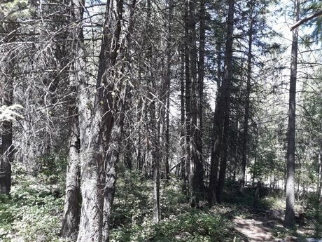 Devon Ellis onlyfans page