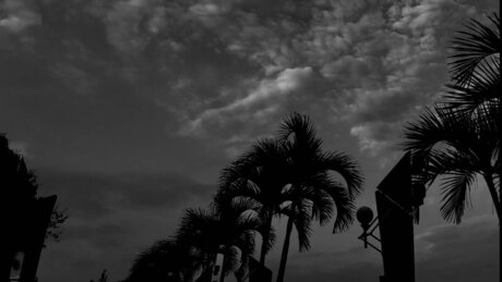 DOROTHEO feet onlyfans