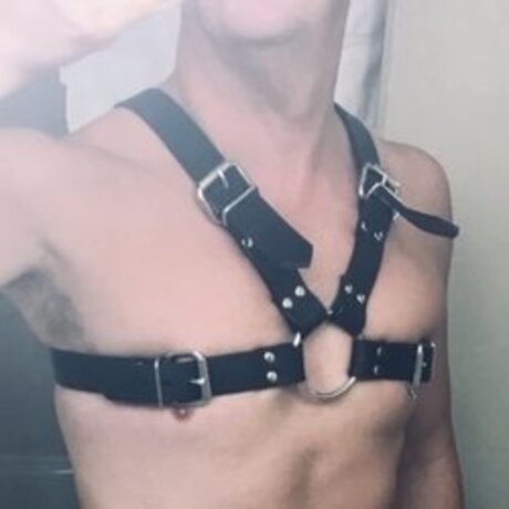 Pup Declan free only fans