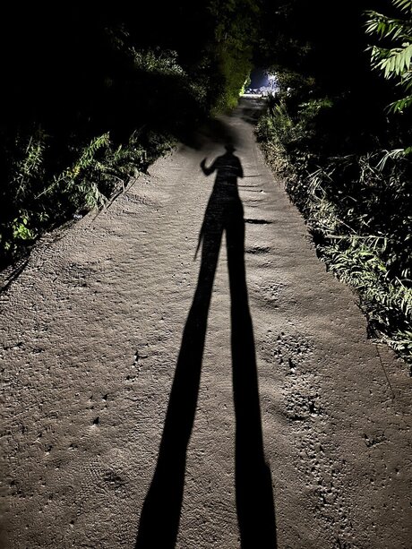 Double Dick boobs onlyfans