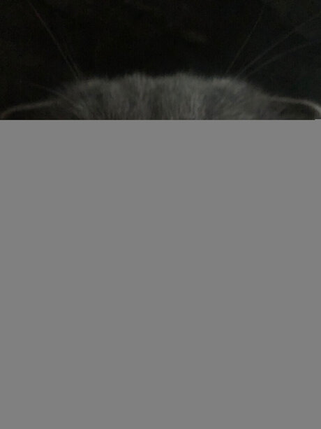 Chivas onlyfans leaks nude