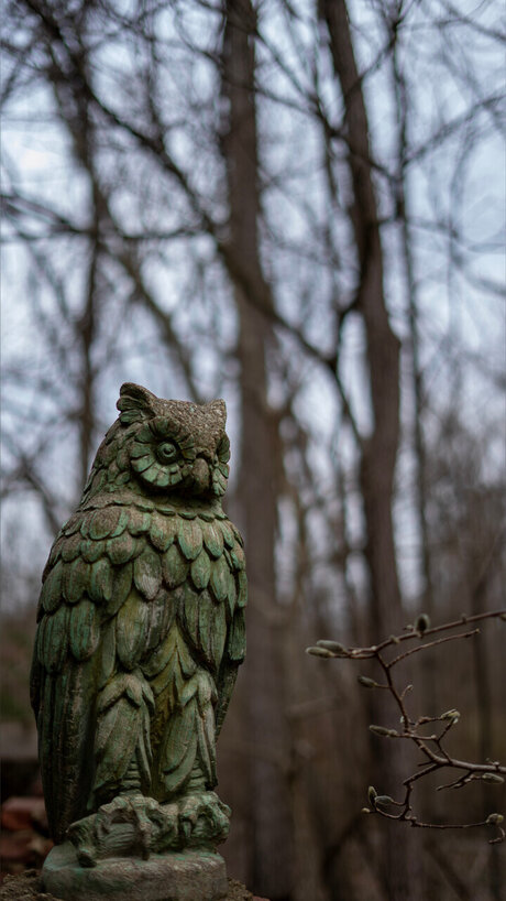 gore4gore nude leaks onlyfans