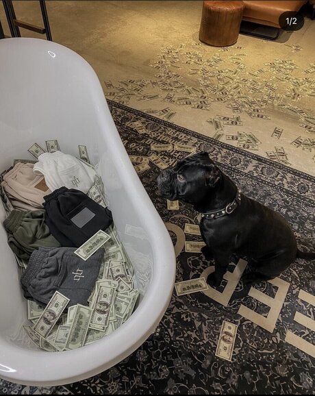 Antonyoxxx onlyfans naked