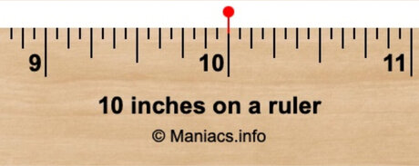 10IN PRINCE Roca only fans review