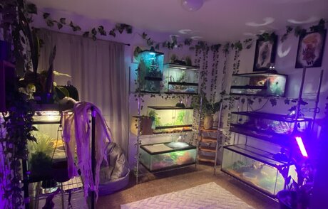 Dannicka nudes only fans