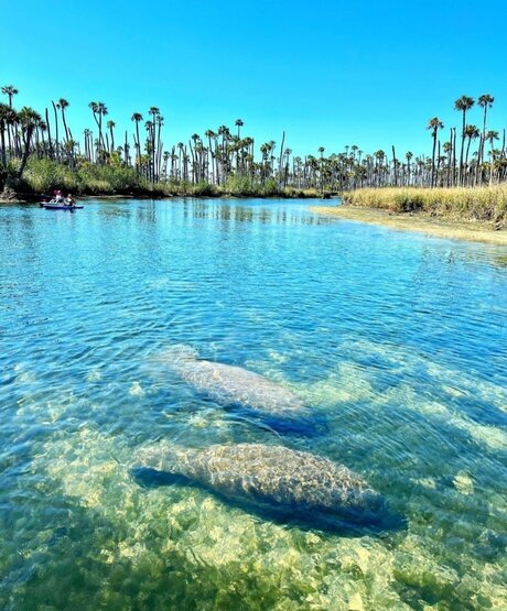 Reneeashley92 onlyfans porn nude