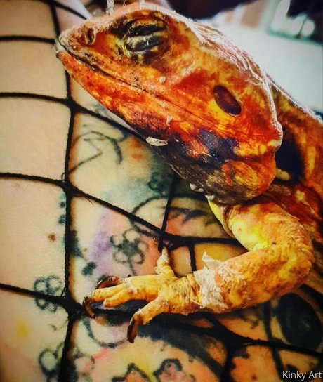 artnvenom only fans nude