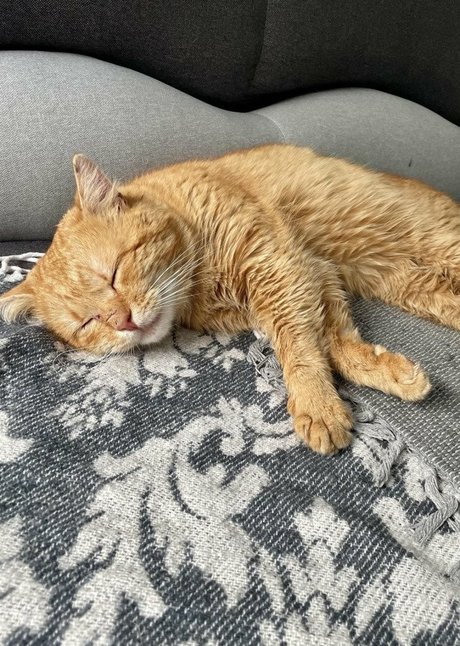 Suzanna De Rose sextape onlyfans