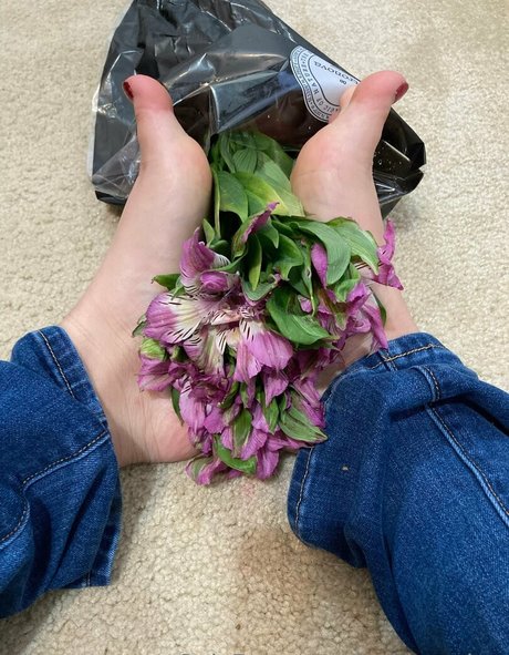 lachleamber onlyfans leak