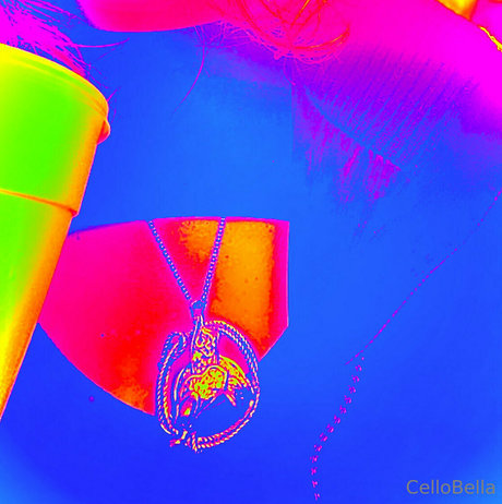 cellobella7 onlyfans xxx