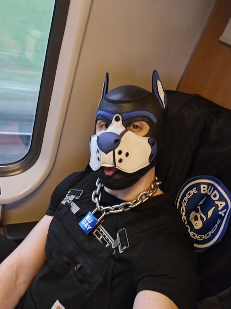 pupbuday Profile pic