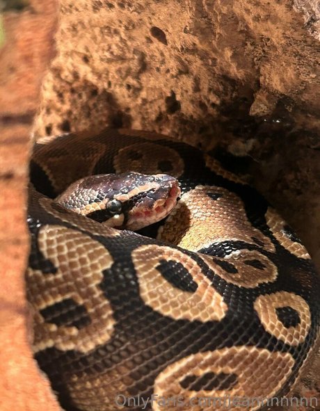 jeannnnnnn onlyfans page