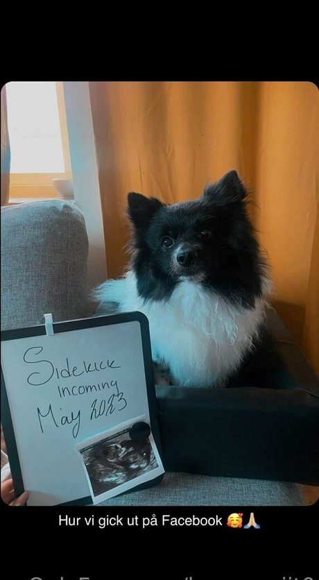 hannasaiit0 onlyfans nudes leaked