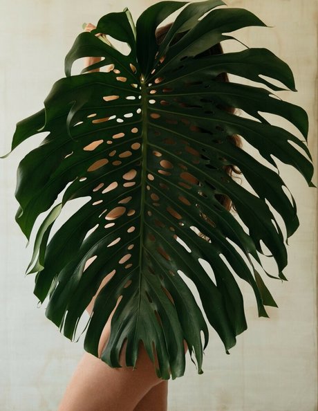 Lauren Marie Young onlyfans nudes porn