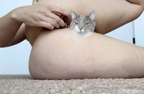 lemonsmudges only fans sex