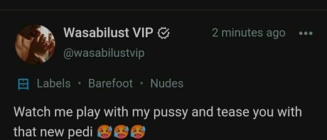wasabilust onlyfans leaks nude