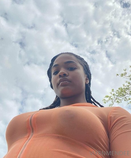 vixenmendee onlyfans naked leaks