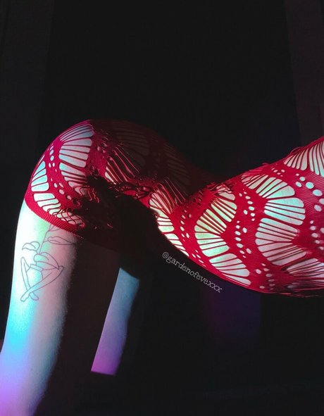 Gardenofevexxx nude porn onlyfans