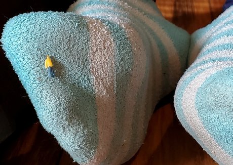 toepazfeetures onlyfans naked pics