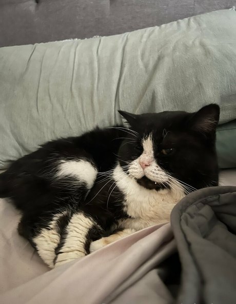 reverse cowgirl onlyfans art xxx plate