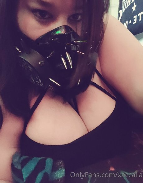 xaccalia porn onlyfans