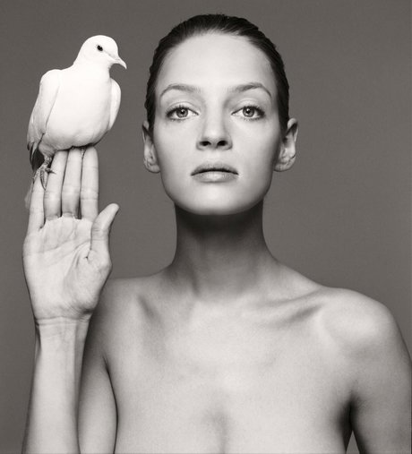 anime cosplay onlyfans top negative