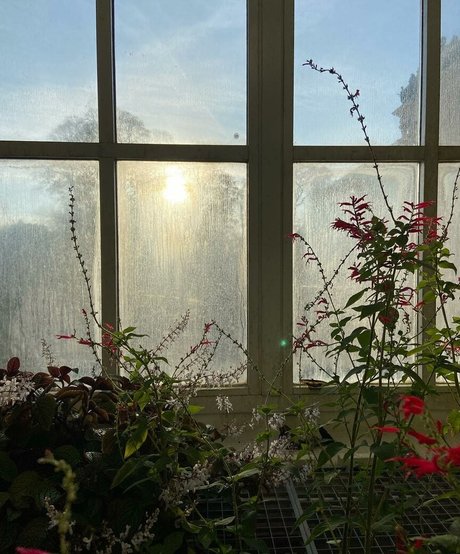 Mydirtyhobby onlyfans porn leaked