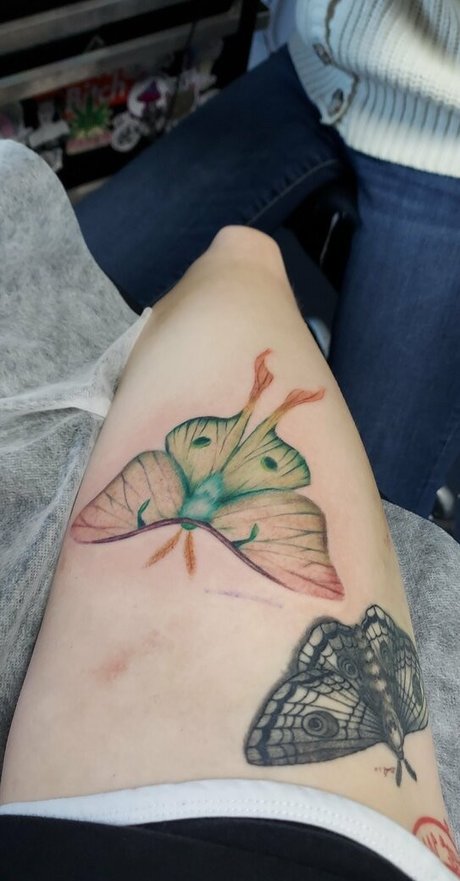 the waaa onlyfans leaked nudes