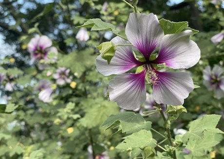 janeray onlyfans nude porn