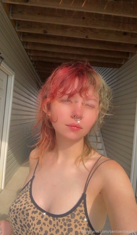 sentientwaifu xxx only fans