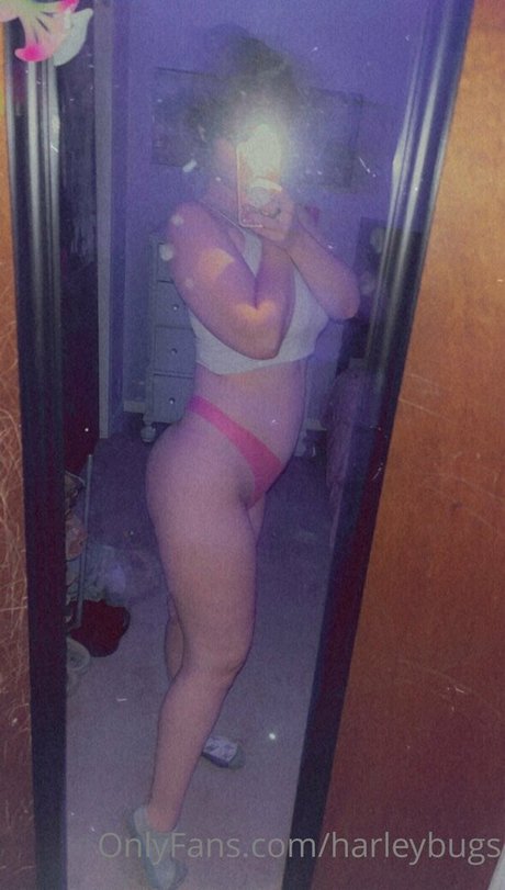 harleybugs only fans pictures