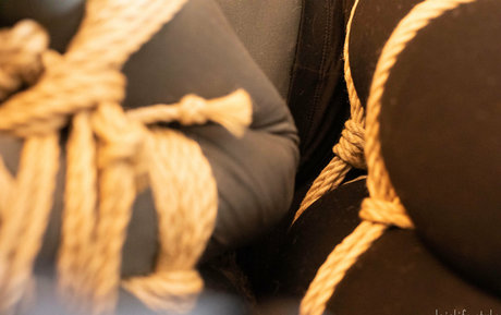 dojolifestyle xxx only fans