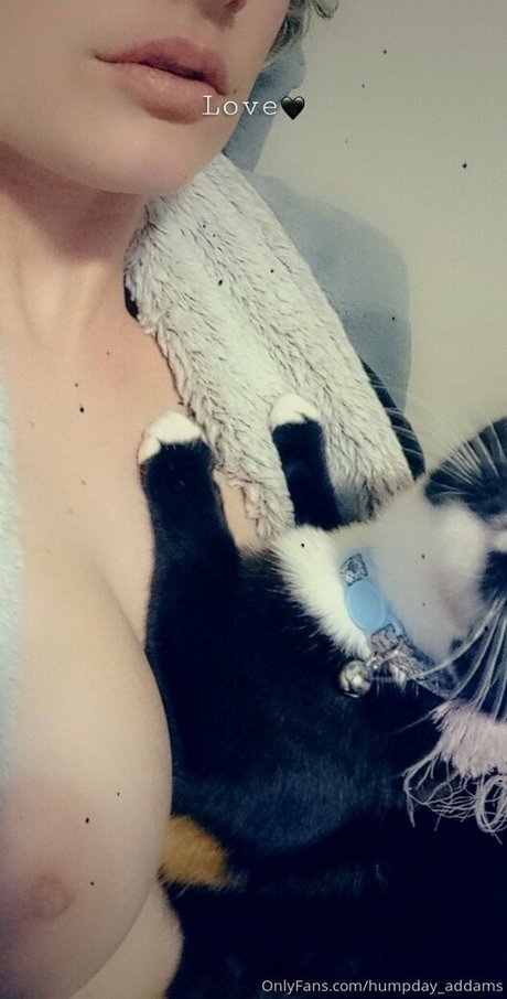 humpday addams free onlyfans